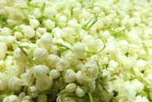 Load image into Gallery viewer, The Jasmine Dragon Pearls Tea 100g