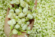 Load image into Gallery viewer, The Jasmine Dragon Pearls Tea 100g