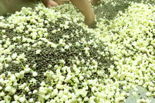 Load image into Gallery viewer, The Jasmine Dragon Pearls Tea 100g
