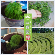 Charger l'image dans la galerie, Le Sanxia Biluochun est un thé vert