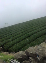 Load image into Gallery viewer, ALISHAN Premier Cru HIGH MOUNTAIN OOLONG TEA