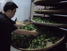 画像をギャラリービューアに読み込む, 四季春茶