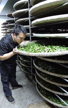 画像をギャラリービューアに読み込む, 四季春茶