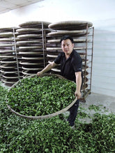 画像をギャラリービューアに読み込む, 四季春茶