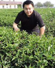 画像をギャラリービューアに読み込む, 四季春茶