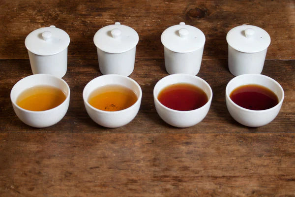 三寶堂台灣茶體驗課程