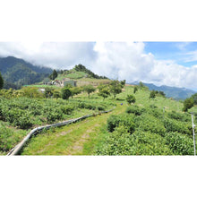 將圖片載入圖庫檢視器 雲頂 梨山華崗高冷茶 Li Shan Alpine Grand Cru Oolong Tea (Lightly Roasted )
